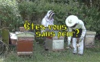 Venez découvrir le rucher du Séminaire! Journées d'initiation à l'apiculture