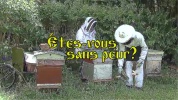Apiculture.mp4