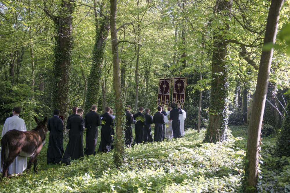 Photographies de la procession et de la liturgie du Dimanche des Rameaux