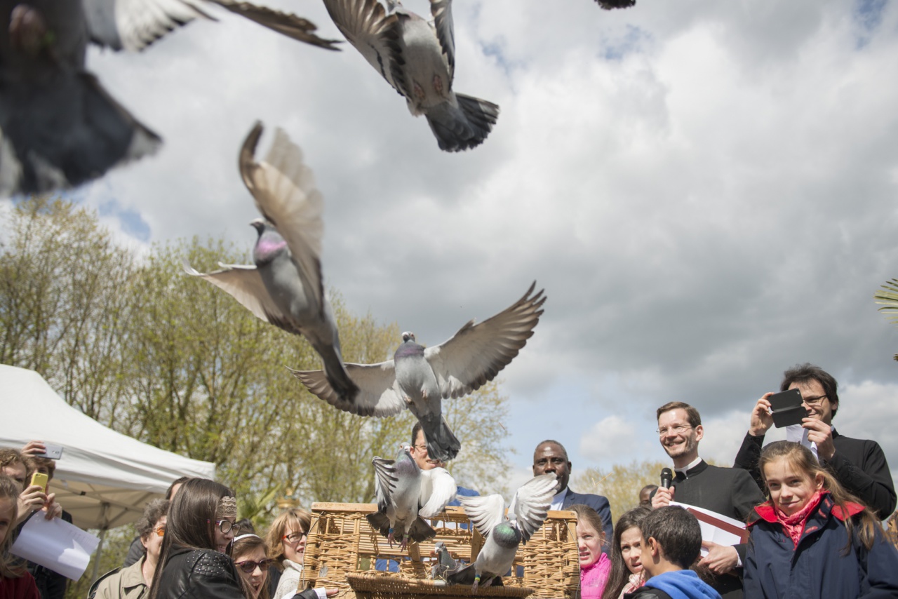 Le jour de Pâques des chrétiens du Val-d'Yerres se sont réunis pour témoigner ensemble de la résurrection du Christ