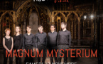 Notre Ensemble Magnum Mysterium participera au festival "Sacrée Musique" en Provence