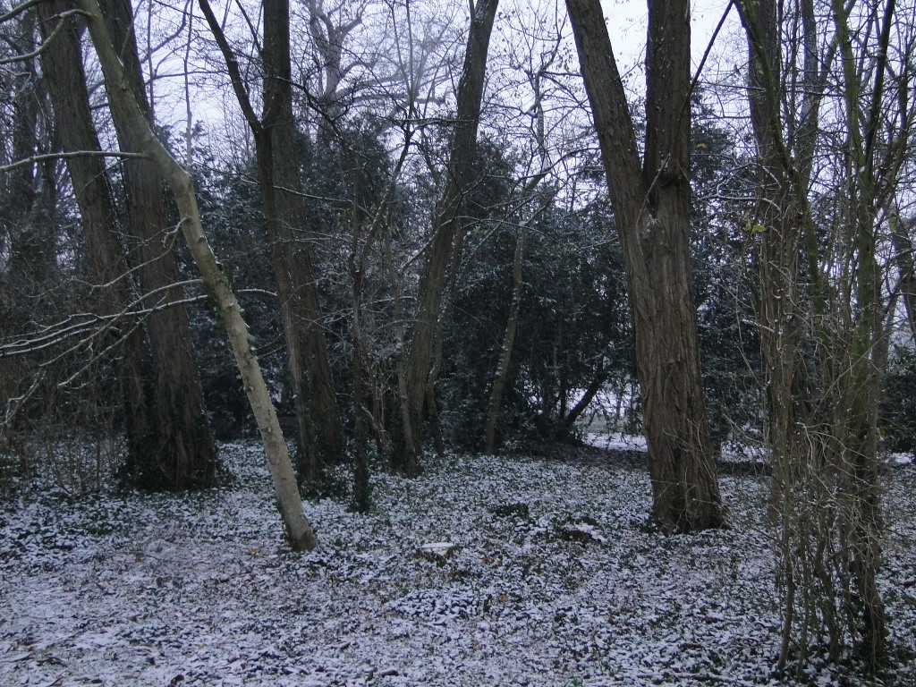 neige 9.jpg